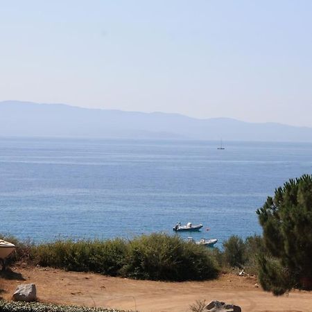 F2 Vue Mer Dans Residence Avec Piscine Ajaccio  Eksteriør billede