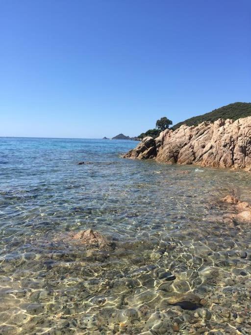F2 Vue Mer Dans Residence Avec Piscine Ajaccio  Eksteriør billede