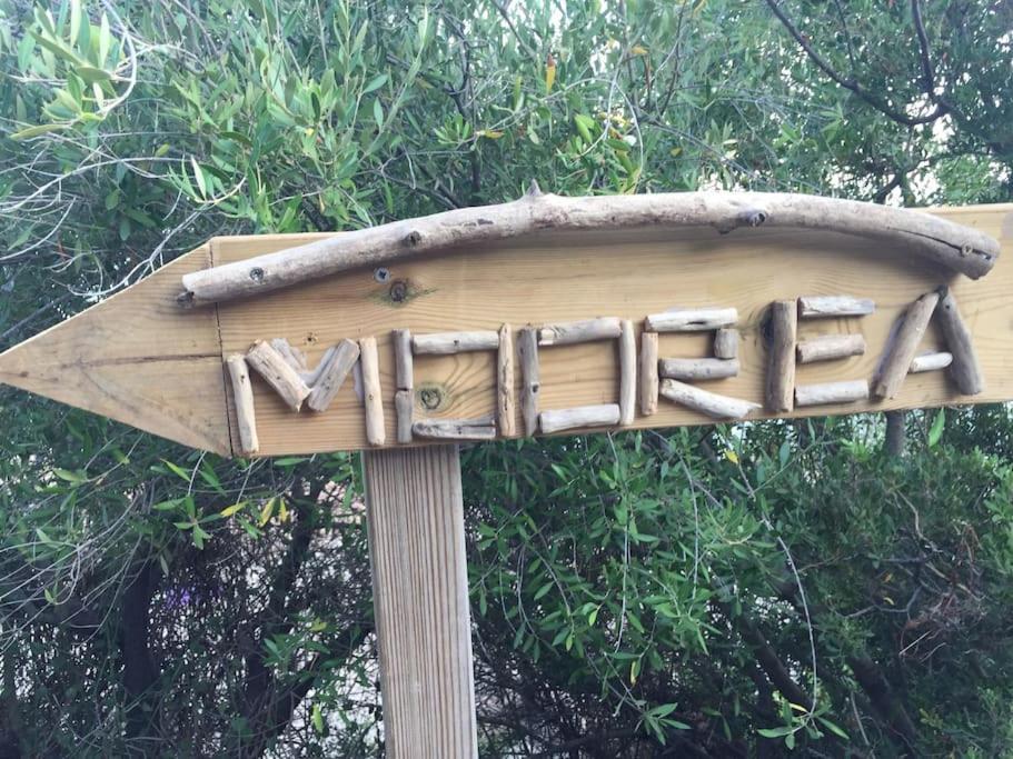F2 Vue Mer Dans Residence Avec Piscine Ajaccio  Eksteriør billede