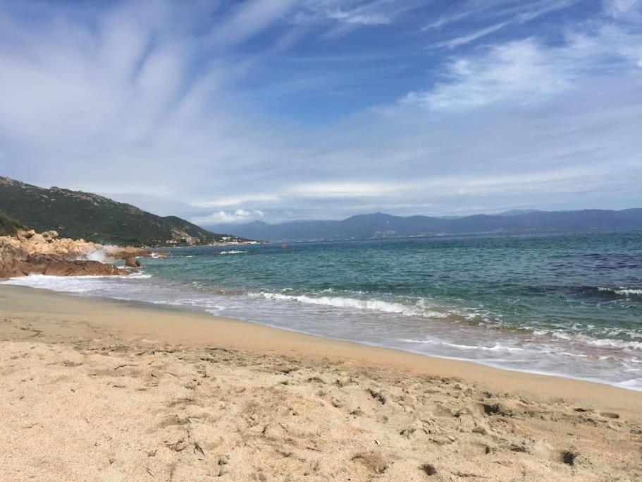 F2 Vue Mer Dans Residence Avec Piscine Ajaccio  Eksteriør billede