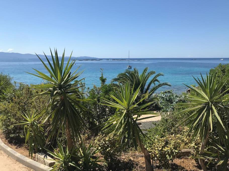 F2 Vue Mer Dans Residence Avec Piscine Ajaccio  Eksteriør billede
