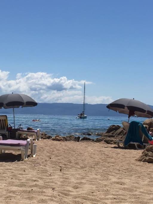 F2 Vue Mer Dans Residence Avec Piscine Ajaccio  Eksteriør billede